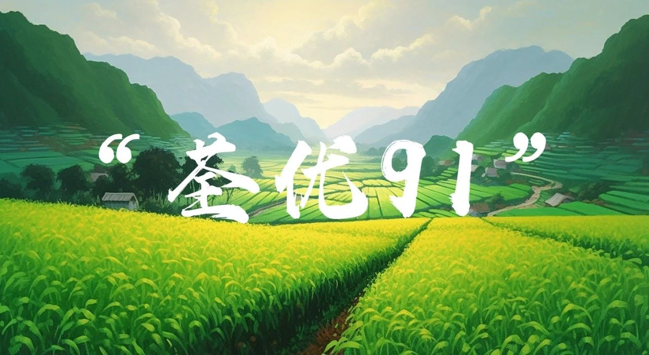 1696645062360011GInh.png image.png