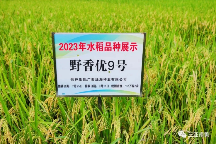 1698807833553311ketW.png image.png